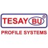 Tesay